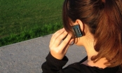 gallery/celular5